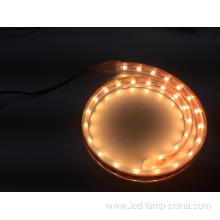 DC24V Waterproof IP68 Flexible LED Strip 3582SMD